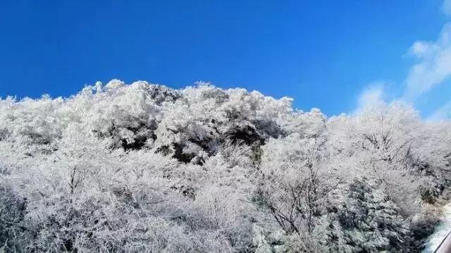营救小乌龟