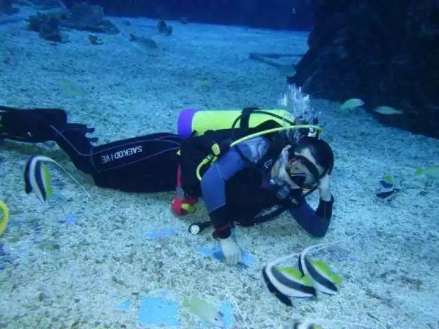 重力骑士